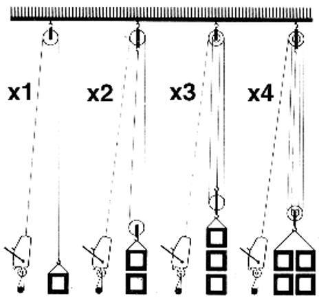 Tirfor Talje model TU32 - 3.2T